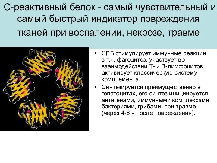 С-реактивный белок - самый чувствительный и самый быстрый индикатор повреждения