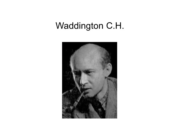 Waddington C.H.