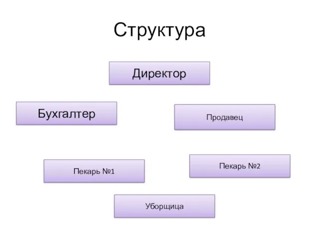 Структура Директор Бухгалтер Продавец Пекарь №1 Пекарь №2 Уборщица