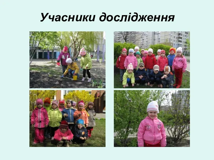 Учасники дослідження