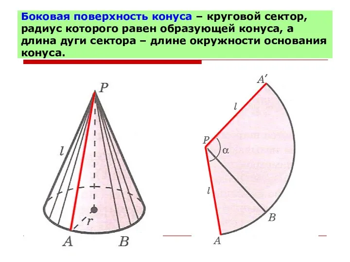 Боковая поверхность конуса – круговой сектор, радиус которого равен образующей