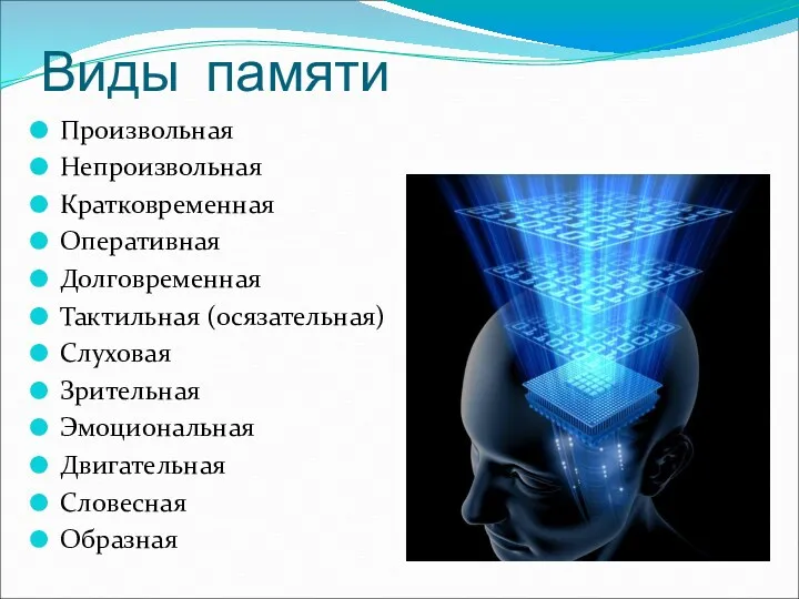 Виды памяти Произвольная Непроизвольная Кратковременная Оперативная Долговременная Тактильная (осязательная) Слуховая Зрительная Эмоциональная Двигательная Словесная Образная