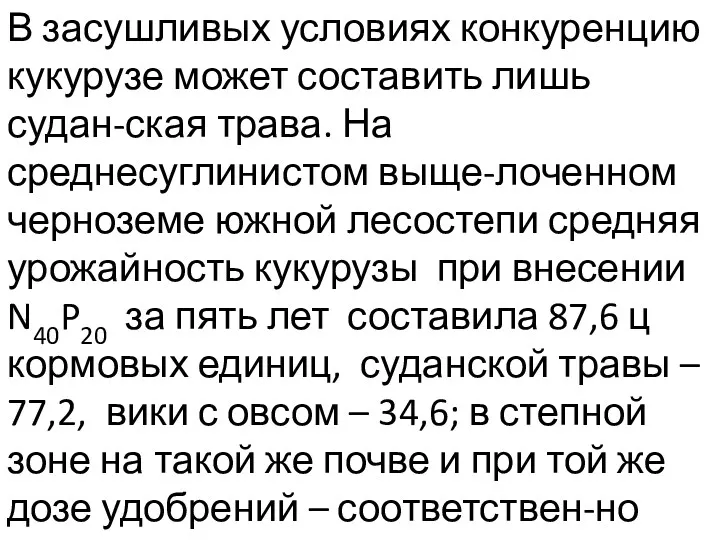 В засушливых условиях конкуренцию кукурузе может составить лишь судан-ская трава.