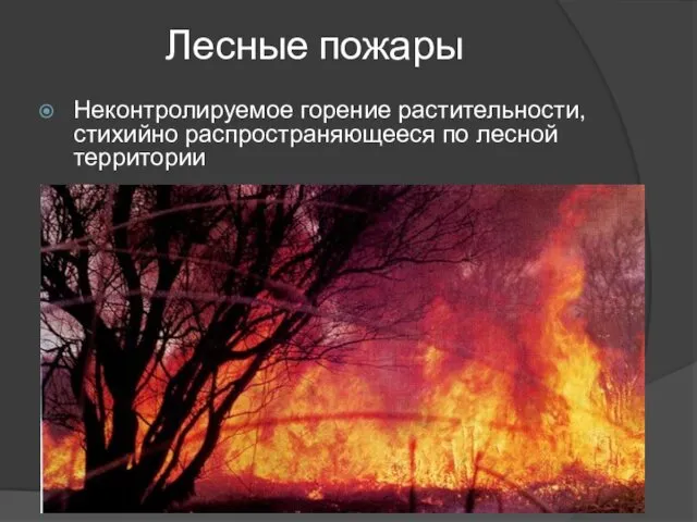 Лесные пожары Неконтролируемое горение растительности, стихийно распространяющееся по лесной территории