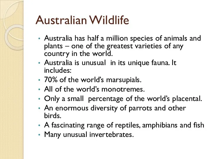 Australian Wildlife Australia has half a million species of animals