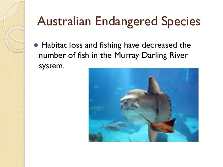 Australian Endangered Species Habitat loss and fishing have decreased the