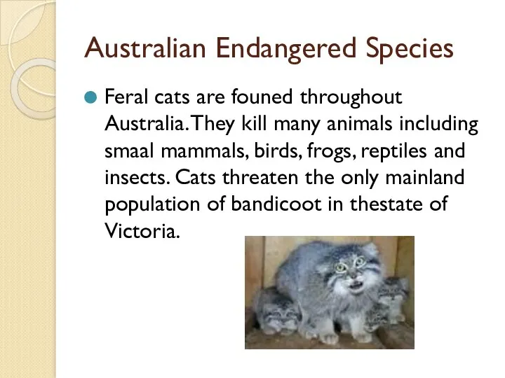Australian Endangered Species Feral cats are founed throughout Australia. They