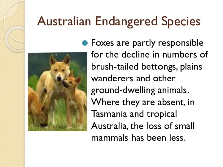 Australian Endangered Species Foxes are partly responsible for the decline