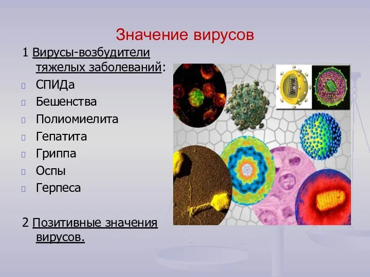Значение вирусов 1 Вирусы-возбудители тяжелых заболеваний: СПИДа Бешенства Полиомиелита Гепатита