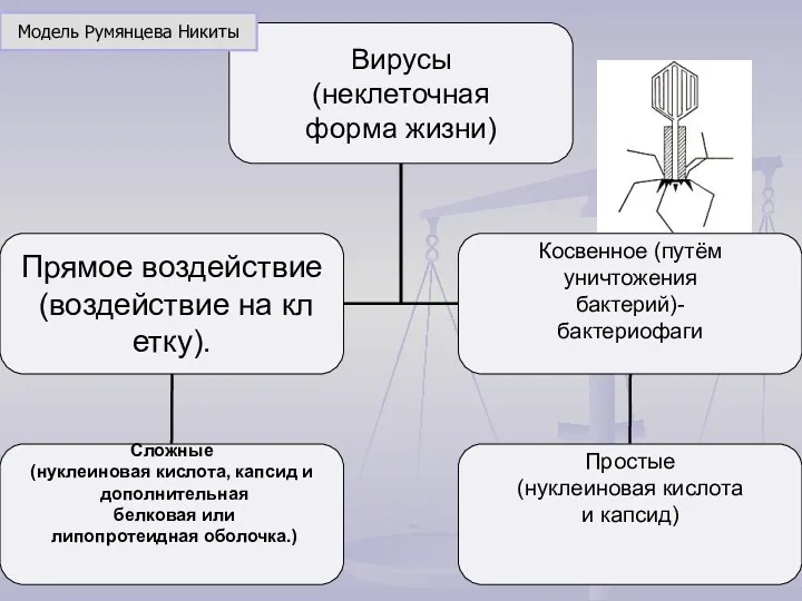 Модель Румянцева Никиты