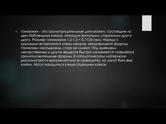 Гонококки - это грамотрицательные диплококки, состоящие из двух бобовидных кокков, лежащих вогнутыми сторонами