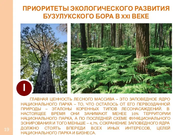 ГЛАВНАЯ ЦЕННОСТЬ ЛЕСНОГО МАССИВА – ЭТО ЗАПОВЕДНОЕ ЯДРО НАЦИОНАЛЬНОГО ПАРКА