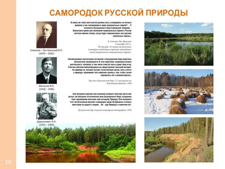 САМОРОДОК РУССКОЙ ПРИРОДЫ 10