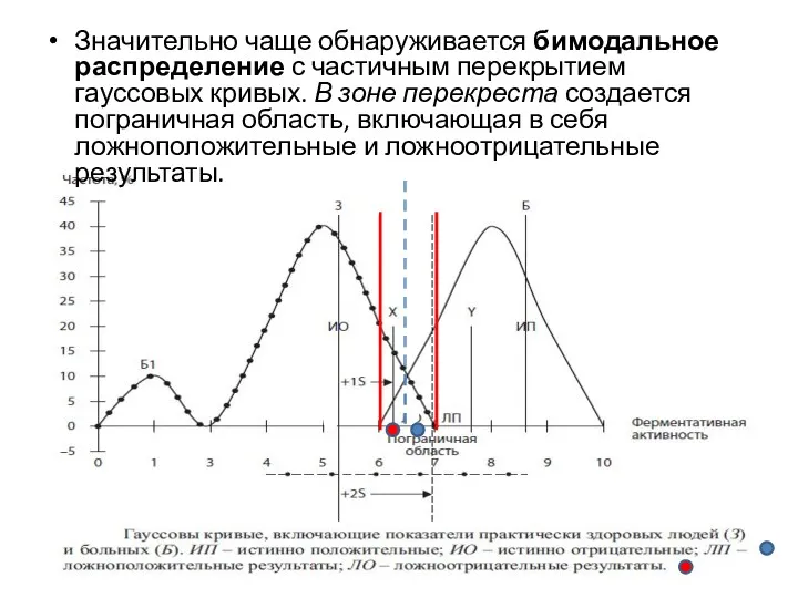 Значительно чаще обнаруживается бимодальное распределение с частичным перекрытием гауссовых кривых. В зоне перекреста