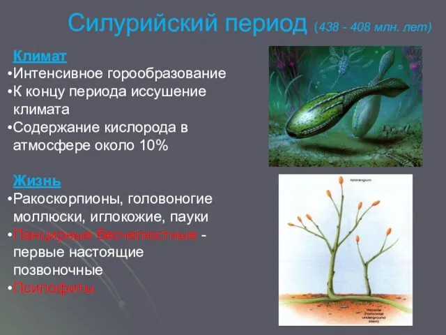 Силурийский период (438 - 408 млн. лет) Климат Интенсивное горообразование