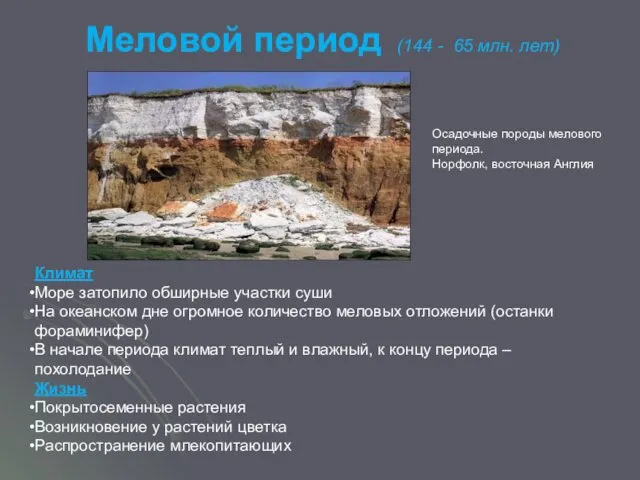 Меловой период (144 - 65 млн. лет) Климат Море затопило