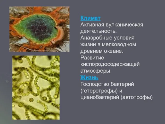 Климат Активная вулканическая деятельность. Анаэробные условия жизни в мелководном древнем