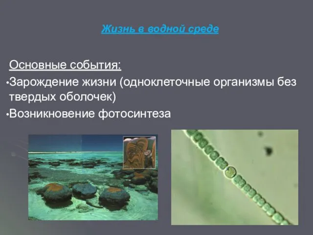 Жизнь в водной среде Основные события: Зарождение жизни (одноклеточные организмы без твердых оболочек) Возникновение фотосинтеза