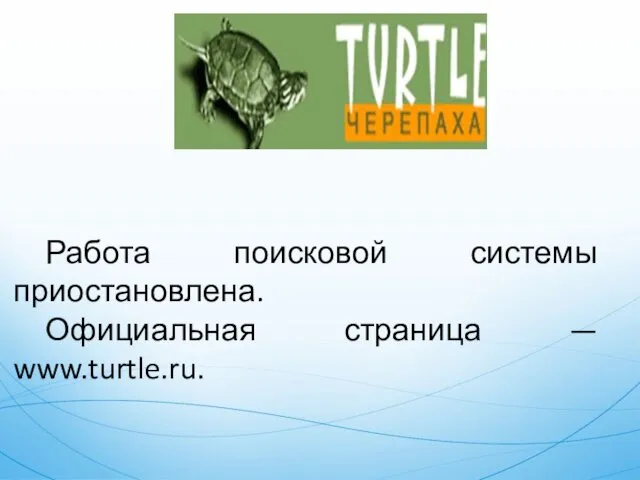 Работа поисковой системы приостановлена. Официальная страница — www.turtle.ru.