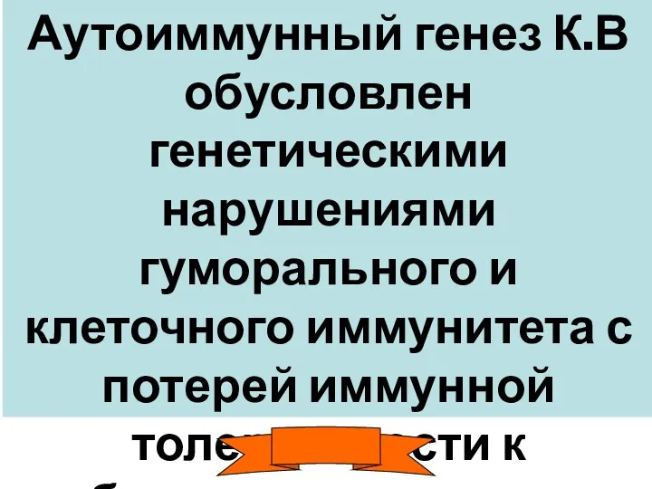 Аутоиммунный генез К.В обусловлен генетическими нарушениями гуморального и клеточного иммунитета