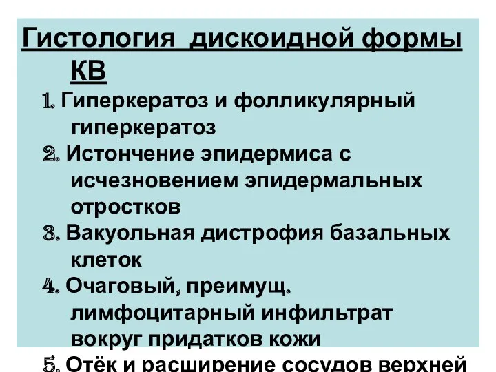 Гистология дискоидной формы КВ 1. Гиперкератоз и фолликулярный гиперкератоз 2.