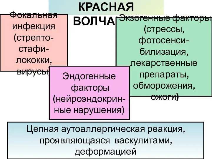 КРАСНАЯ ВОЛЧАНКА Цепная аутоаллергическая реакция, проявляющаяся васкулитами, деформацией соединительной ткани