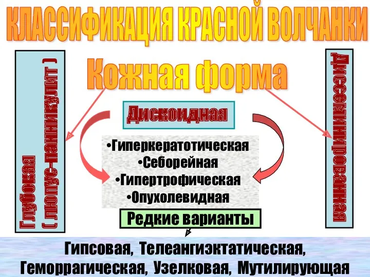 Дискоидная Глубокая ( люпус-панникулит ) Диссеминированная Гиперкератотическая Себорейная Гипертрофическая Опухолевидная