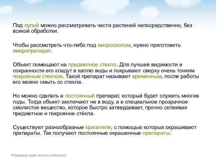 Под лупой можно рассматривать части растений непосредственно, без всякой обработки.