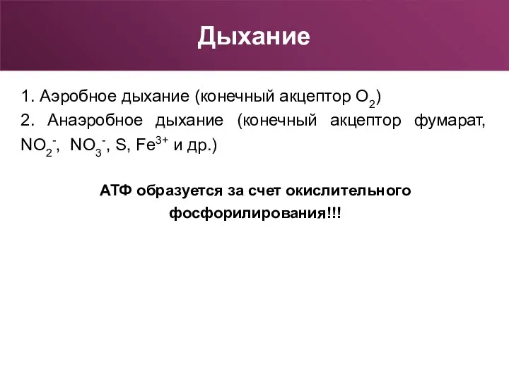 1. Аэробное дыхание (конечный акцептор О2) 2. Анаэробное дыхание (конечный