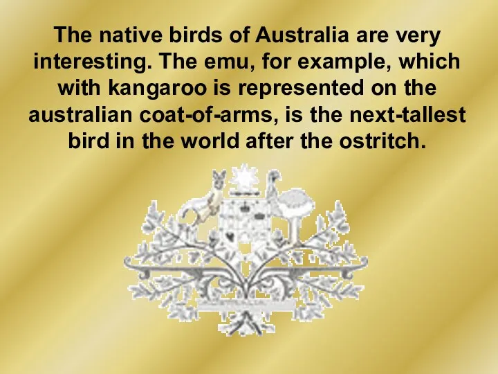 The native birds of Australia are very interesting. The emu,