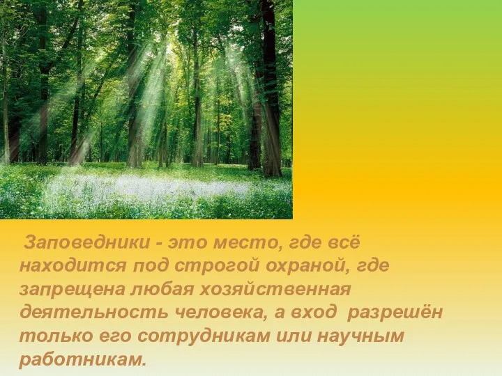 Заповедники - это место, где всё находится под строгой охраной,