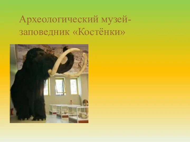 Археологический музей-заповедник «Костёнки»