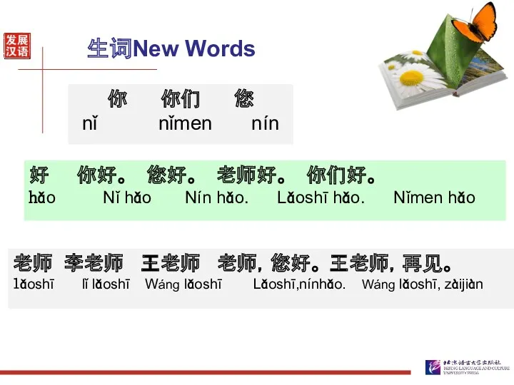 生词New Words 你 你们 您 nǐ nǐmen nín 好 你好。 您好。 老师好。 你们好。