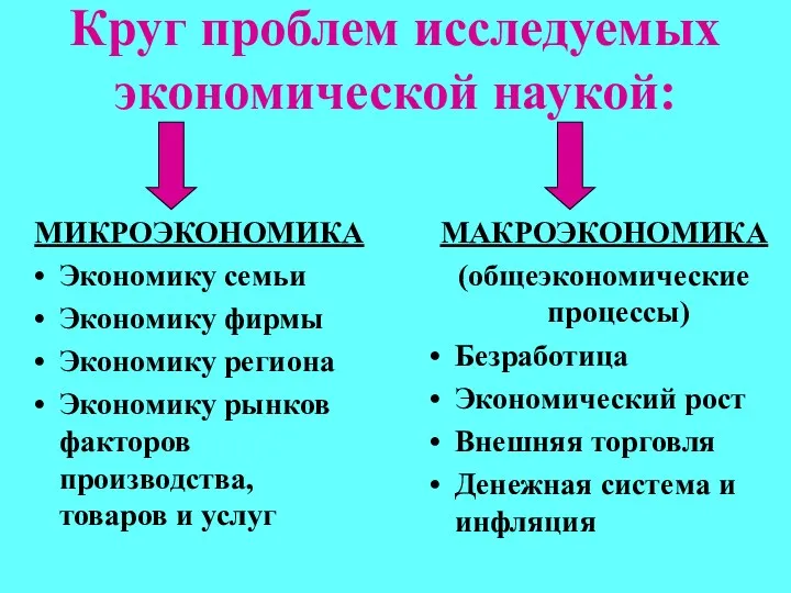 Круг проблем исследуемых экономической наукой: МИКРОЭКОНОМИКА Экономику семьи Экономику фирмы