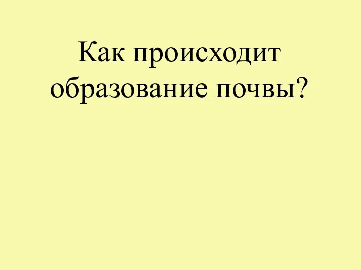 Как происходит образование почвы?