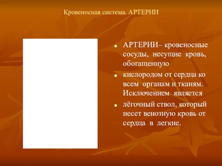 Кровеносная система. АРТЕРИИ АРТЕРИИ– кровеносные сосуды, несущие кровь, обогащенную кислородом