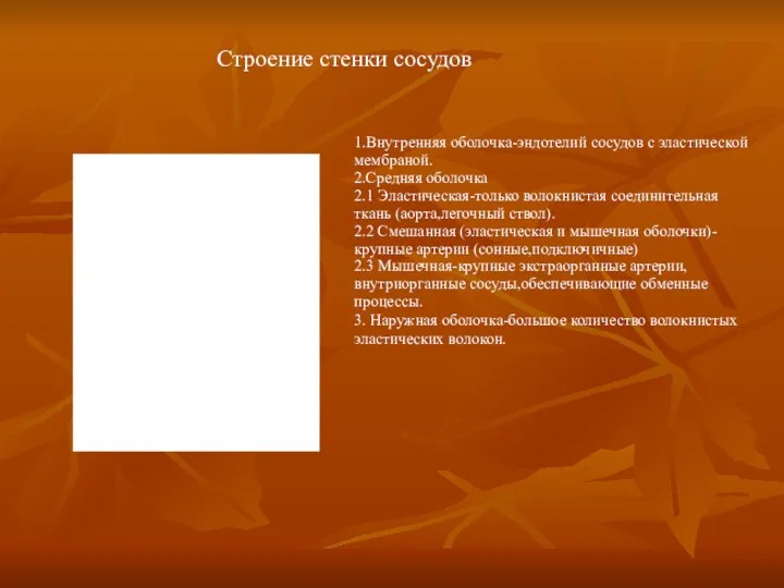 Строение стенки сосудов 1.Внутренняя оболочка-эндотелий сосудов с эластической мембраной. 2.Средняя