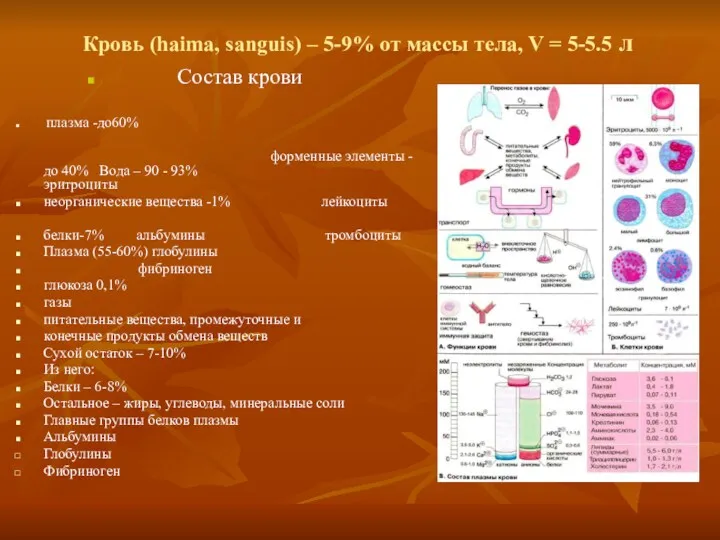 Кровь (haima, sanguis) – 5-9% от массы тела, V =