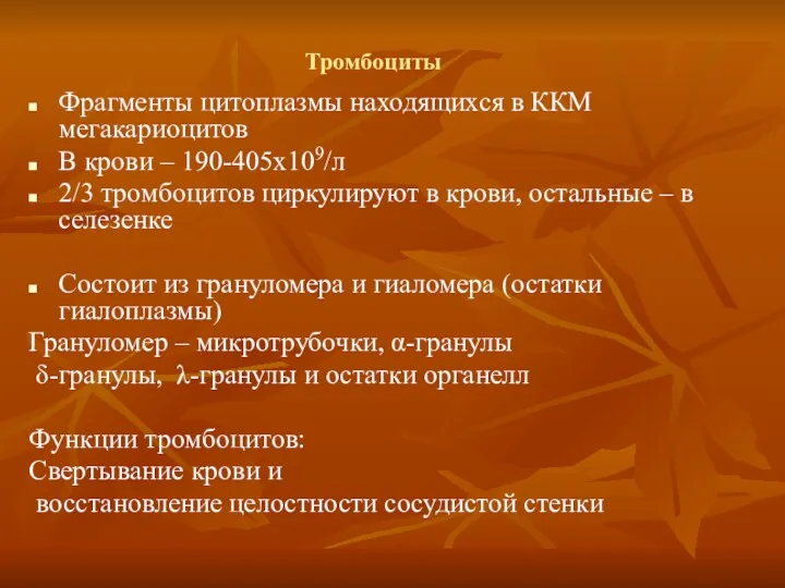 Тромбоциты Фрагменты цитоплазмы находящихся в ККМ мегакариоцитов В крови –