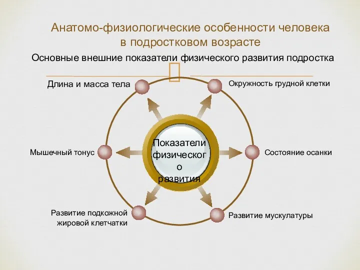 Показатели физического развития Окружность грудной клетки Длина и масса тела Состояние осанки Развитие