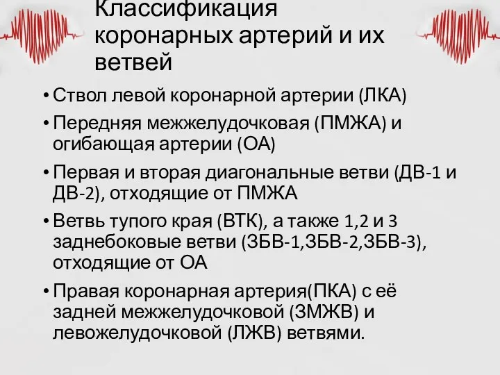 Классификация коронарных артерий и их ветвей Ствол левой коронарной артерии