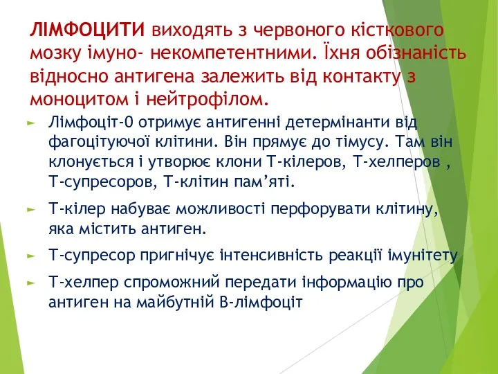 ЛІМФОЦИТИ виходять з червоного кісткового мозку імуно- некомпетентними. Їхня обізнаність