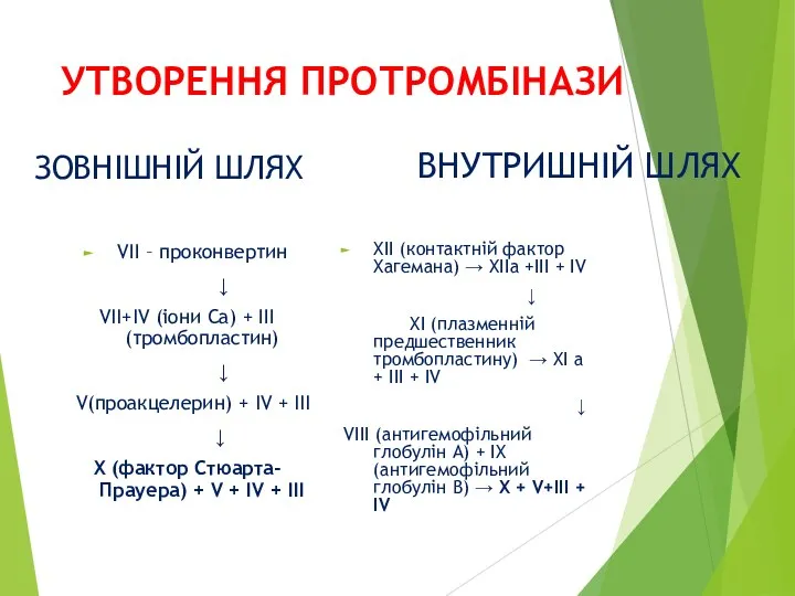 УТВОРЕННЯ ПРОТРОМБІНАЗИ ЗОВНІШНІЙ ШЛЯХ VІІ – проконвертин ↓ VII+IV (іони