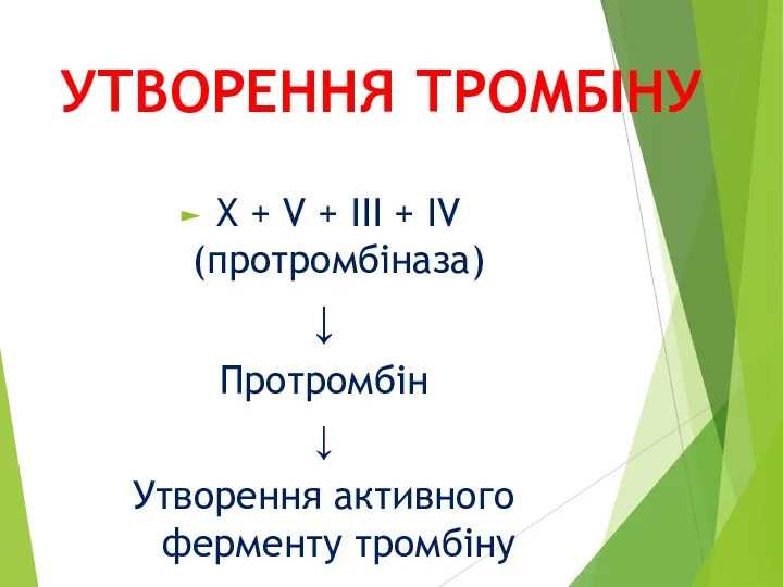 УТВОРЕННЯ ТРОМБІНУ X + V + III + IV (протромбіназа)