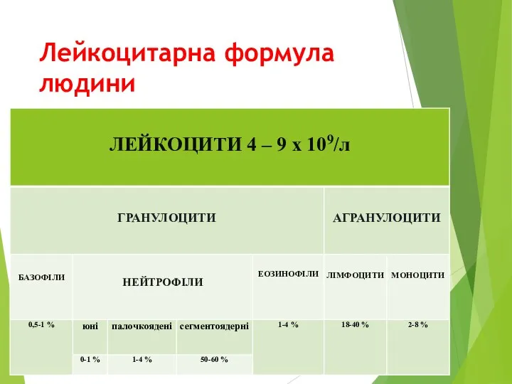 Лейкоцитарна формула людини