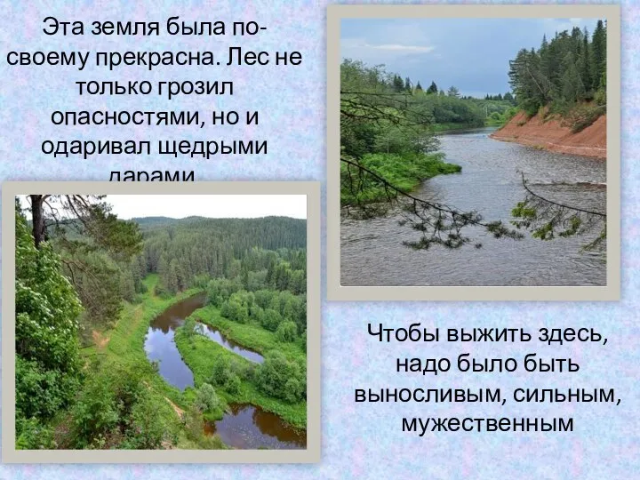 Эта земля была по-своему прекрасна. Лес не только грозил опасностями,