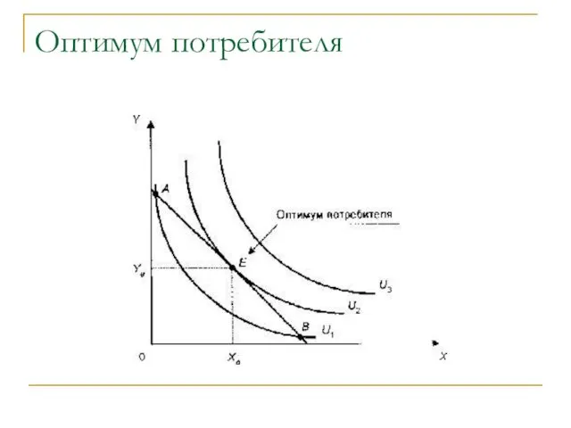 Оптимум потребителя