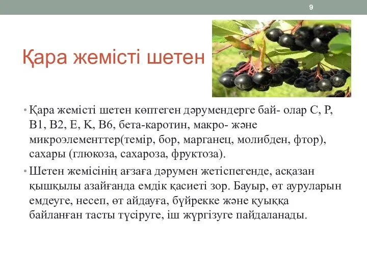 Қара жемісті шетен Қара жемісті шетен көптеген дәрумендерге бай- олар