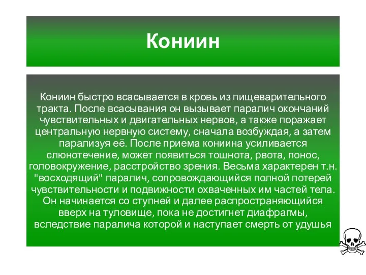 Кониин Кониин быстро всасывается в кровь из пищеварительного тракта. После