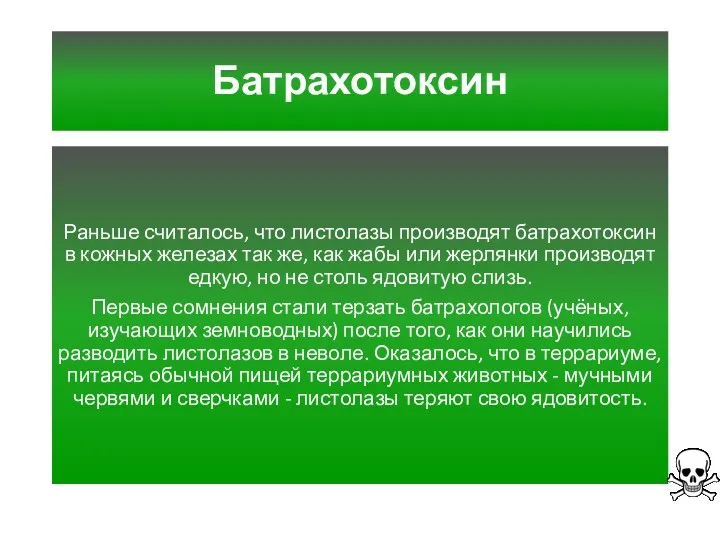 Батрахотоксин Раньше считалось, что листолазы производят батрахотоксин в кожных железах